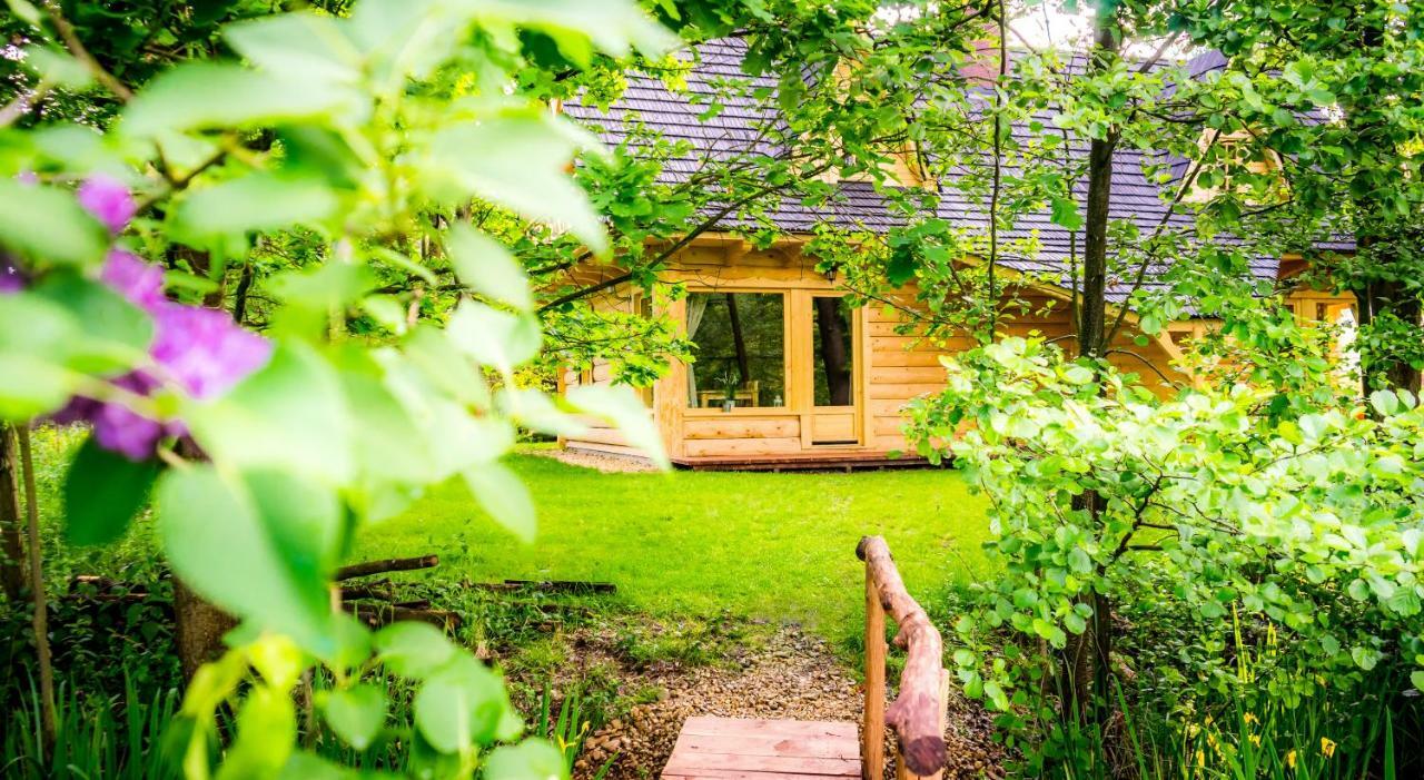 Villa Sucholand Miedziana Góra Exterior foto